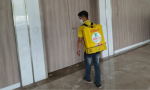 Cách bảo vệ nhà khỏi mối