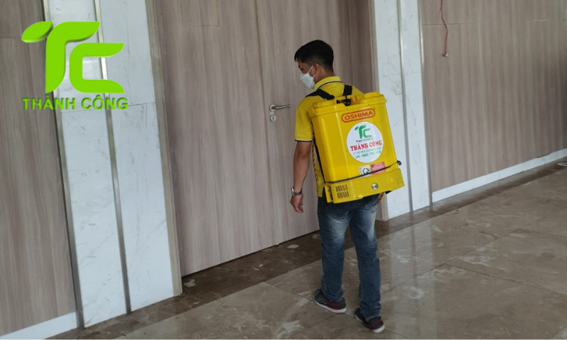 Chống mối cho cửa gỗ