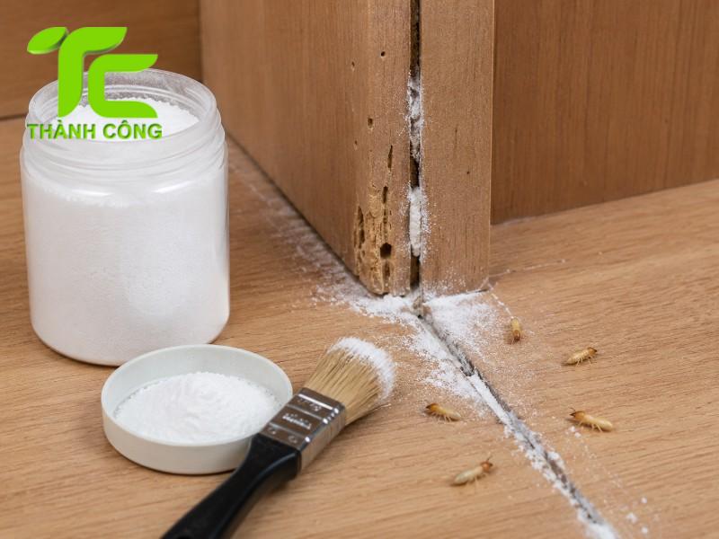 Diệt mối trong bếp đúng cách: Nhận biết sớm và xử lý tận gốc 6 Diệt mối trong bếp