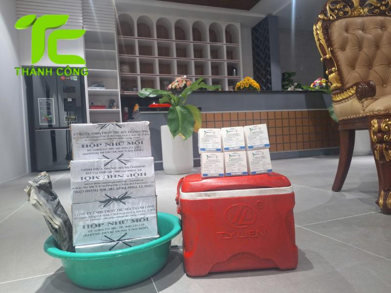 Cách diệt mối trong nhà
