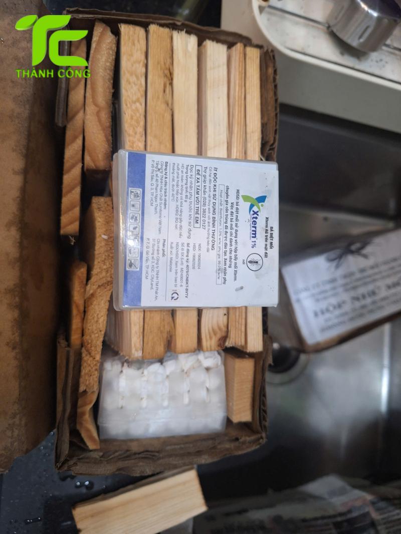 Chống mối cho sàn gỗ