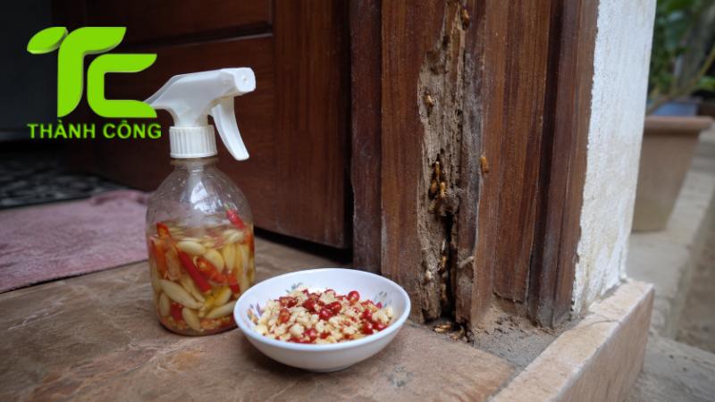 Diệt mối bằng phương pháp dân gian