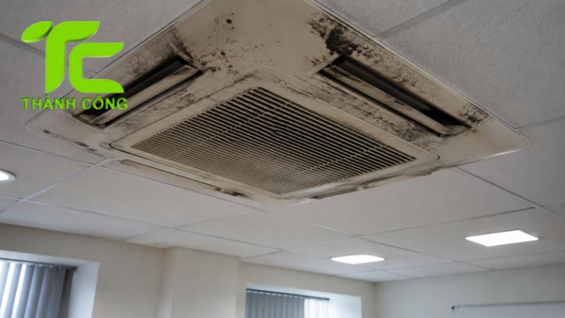 Cách xử lý mối trong điều hòa tránh hư hỏng thiết bị 8 Mối trong điều hòa