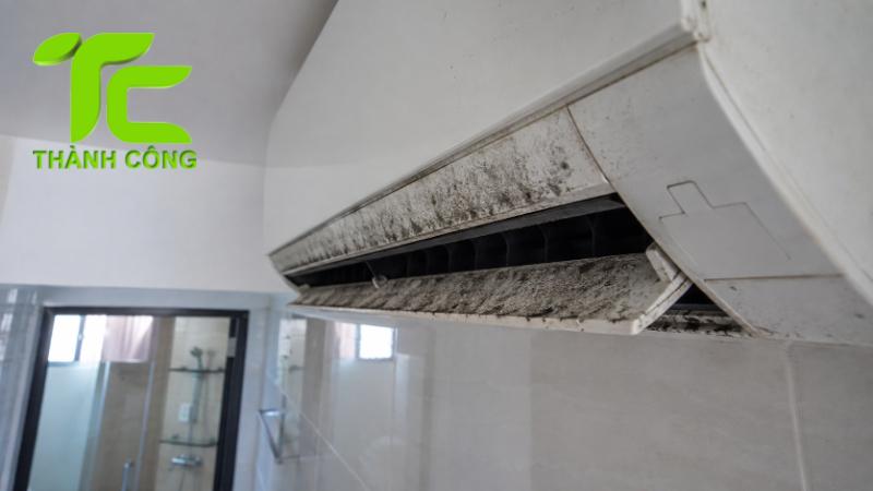 Cách xử lý mối trong điều hòa tránh hư hỏng thiết bị 10 Mối trong điều hòa