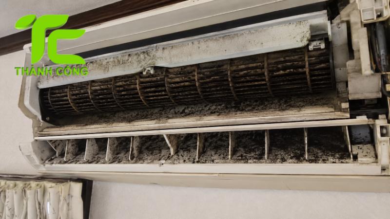 Cách xử lý mối trong điều hòa tránh hư hỏng thiết bị 11 Mối trong điều hòa