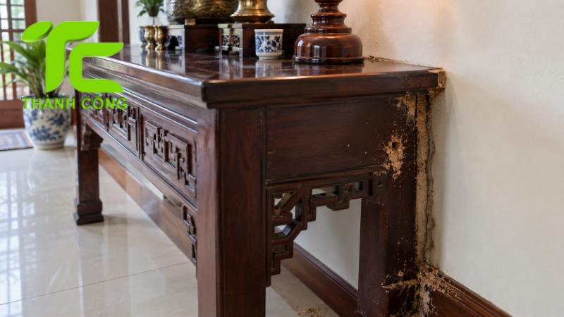 Mối ăn bàn thờ có ảnh hưởng phong thủy không? Cách khắc phục 10 Mối ăn bàn thờ